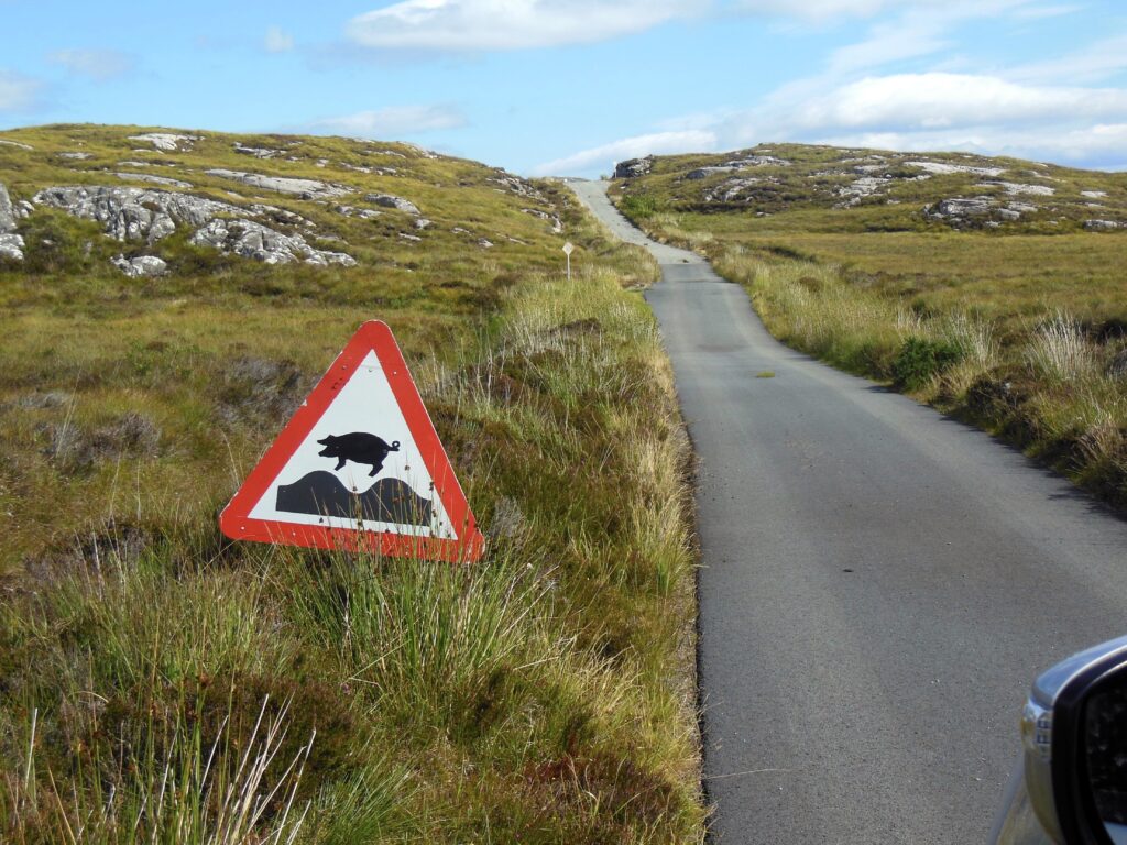 Jumping pig sign on the Isle of Raasay